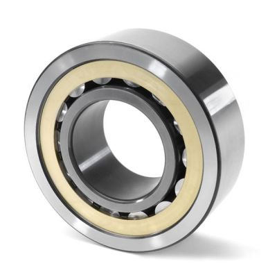 95mm ID Brass Cage Removable Inner Ring Standard Capacity 24mm Width 145mm OD FAG NU1019M1-C3 Cylindrical Roller Bearing Straight Bore C3 Clearance Single Row 