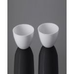 Glassco 522.303.13 Crucible Porcelian Withlid Squat Form, Capacity 2ml