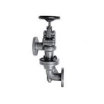 Sant CI 5B Cast Iron Accessible Feed Check Valve, Size 50mm