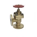 Sant IBR 9B Bronze Controllable Feed Check Valve, Size 20mm