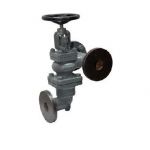 Sant CI 5D Cast Iron Accessible Feed Check Valve, Size 40mm