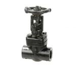 Sant FSV 5A Forged Steel Wedge Gate Valve, Size 20mm