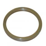 Generic Ring, Type Seal (MHW311624190523)