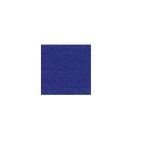 Mithilia Consumer Goods Pvt. Ltd. 1011-1 Slip Guard-Safety Grip, Color Blue, Size 25 x 18.3m