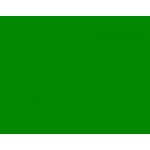 Mithilia Consumer Goods Pvt. Ltd. PAP 871 Slip Guard-Resilient, Color Green, Size 115 x 635m