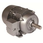 ABB Energy Efficient Motor, Output 110kW, Speed 1500rpm, 4 Pole