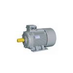 Eagle Electric Motor, Power 1hp, Speed 1440rpm, Phase 1, Voltage 220V