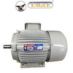Eagle E Class Electric Motor, Power 1/2hp, Speed 960rpm, Phase 3, Voltage 440V