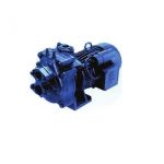 Crompton Greaves JM1.52T Two Stage Jet Pump, Power 1.5hp, Discharge Range 1170-300l/hr, Bore Size 100mm