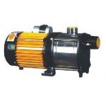 Crompton Greaves SWJ1SS Shallow Well Pump, Power 1hp, Head Range 21-36m, Discharge Range 51-15l/hr, Pipe Size 25 x 25mm