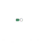 Asian Loto ALC -CHPV-G Lockout Hasp, Size 38mm, Color Green