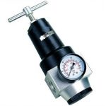 JELPC Pneumatic High Pressure Reg with P.Guage, Size 1/2inch