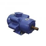 SKN Induction Motor, Single Phase, Power 2hp