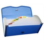 Solo EX 701 Expanding Cheque Case (Elastic) - 12 Section, Frosted Blue Color