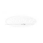 Roboz RS-6340-10 Biopsy needle with stylet, Size 1.0 x 70mm