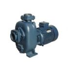 Crompton Greaves DWCQ5BP Dewatering Bare Pump, Power Rating 3.7kW, Speed 1430rpm, Pipe Size (SUC x DEL) 80 x 80mm, Head Range 9-18m