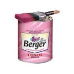 Berger 055 Luxol Pearl Lustre Enamel, Capacity 20l, Color WO