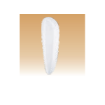 White Urinals - Division Plate - 690x165x325 mm