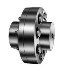 Rahi BC6A Finished Bore BC - Bush Type Coupling, Outer Diameter 254mm
