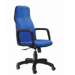 Zeta BS 167 High Back Chair, Mechanism Center Tilt, Series Executive