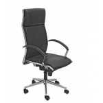 Zeta BS 203 High Back Chair, Mechanism Sinkrow Tilt, Series Executive