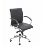 Zeta BS 204 Low Back Chair, Mechanism Sinkrow Tilt, Series Executive
