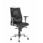 Zeta BS 304 Low Back Chair, Mechanism Sinkrow Tilt, Series Executive