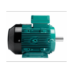 Crompton Greaves TEFC Squirrel Cage Flame Proof Induction Motor, Speed 1000rpm, Mounting Flange