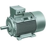 Siemens 1LA0 166-2LC80# Series Motor, 2 Pole, Speed 3000rpm, Output 18.5kW