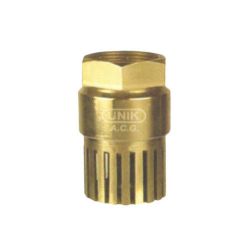Unik Brass Foot Valve, Size 2-1/2inch