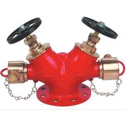 Flameguard F-GMDHV-01 Gun Metal Double Controlled Hydrant Valve, Nominal Size 63mm, Angle , NB Inlet 100mm