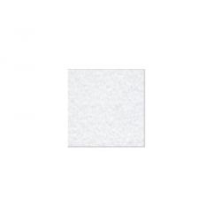 Mithilia Consumer Goods Pvt. Ltd. 613-1 Slip Guard-Safety Grip, Color White, Size 25mm x 6.1m