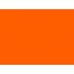 Mithilia Consumer Goods Pvt. Ltd. C 520 Slip Guard-Conformable, Color Orange, Size 150 x 610mm