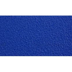 Mithilia Consumer Goods Pvt. Ltd. 674-2 Slip Guard-Coarse Resilient, Color Blue, Size 50 x 6.1m