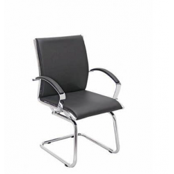 Zeta BS 205 Visitor Chair, Mechanism Visitor, Series Executive