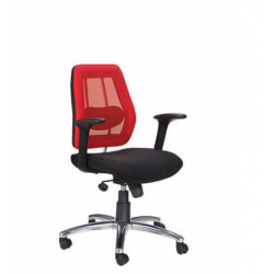 Zeta BS 309 Low Back Chair, Mechanism Sinkrow Tilt, Series Executive