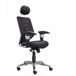 Zeta BS 312 High Back Chair, Mechanism Sinkrow Tilt, Series Executive
