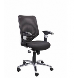 Zeta BS 313 Low Back Chair, Mechanism Sinkrow Tilt, Series Executive
