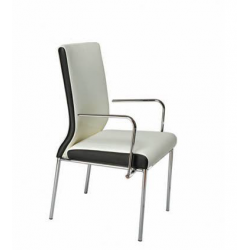 Zeta BS 726 Cafeteria Chair, Series Cafe