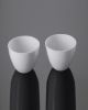 Glassco 522.303.16 Crucible Porcelian Withlid Squat Form, Capacity 30ml