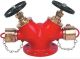 Flameguard F-GMDHV-01 Gun Metal Double Controlled Hydrant Valve, Nominal Size 63mm, Angle , NB Inlet 100mm