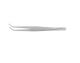 Roboz 65-5358 Micro Dissecting Forceps, Size 11mm, Length 6inch