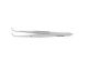 Roboz 65-5157 Micro Dissecting Forceps, Length 4inch