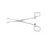 Roboz RS-8022 Babcock Forceps, Size , Length 6.25inch