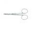 Roboz RS-5983 Micro Dissecting Scissors, Legth 4.5inch