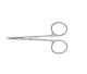 Roboz RS-5910 Micro Dissecting Scissors, Legth 3.5inch