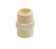 Astral Pipes M512111316 Male Adaptor CPVC Thread, Size 25x20mm