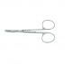 Roboz RS-5983L Micro Dissecting Scissors, Legth 4.25inch