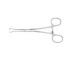 Roboz RS-8020 Babcock Forceps, Size , Length 5.5inch