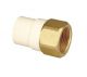 Astral Pipes M512111703 Female Adaptor Brass Thread, Size 25mm